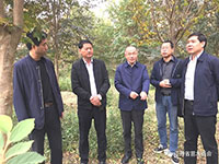 省级银缕梅研发基地落户宜兴