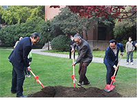 “万古之梅”再度入宁，三位院士在南京中山植物园共植银缕梅